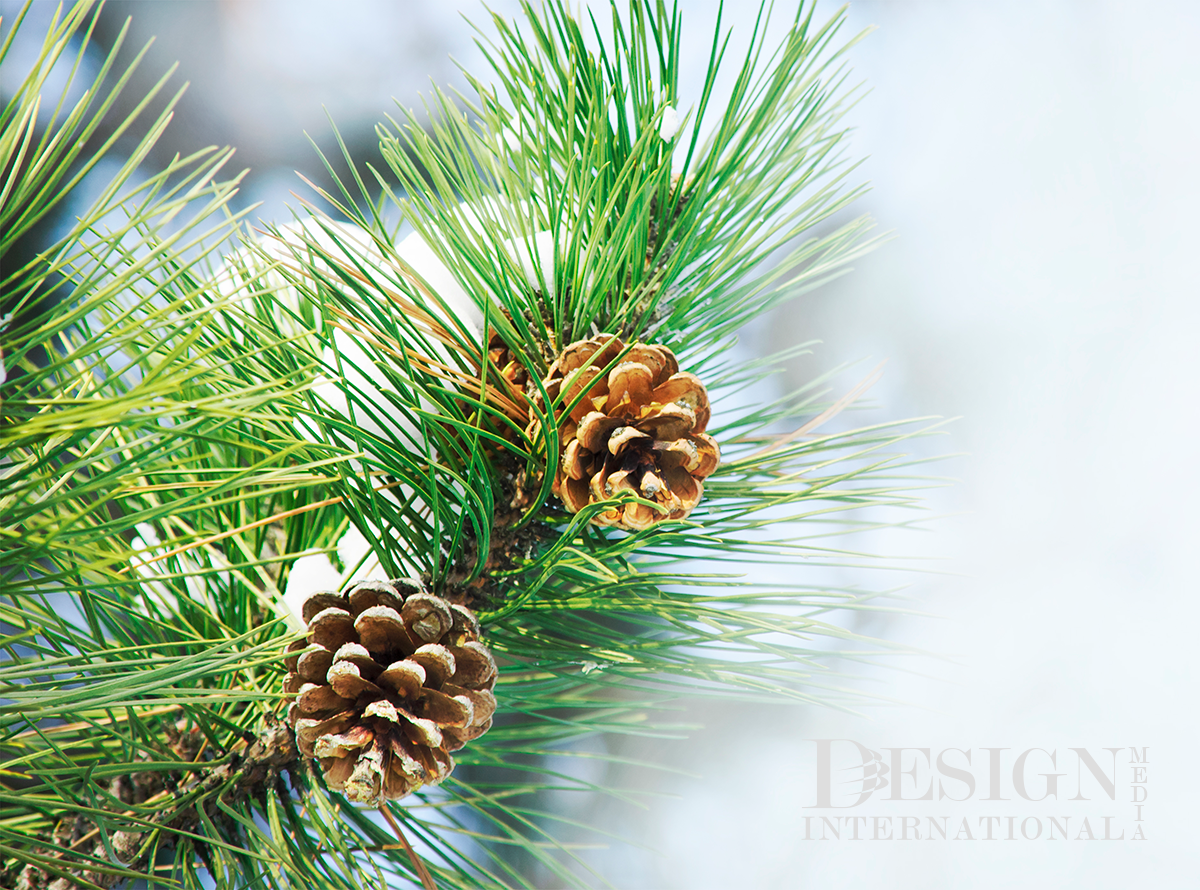 Merry Christmas from Design International Media